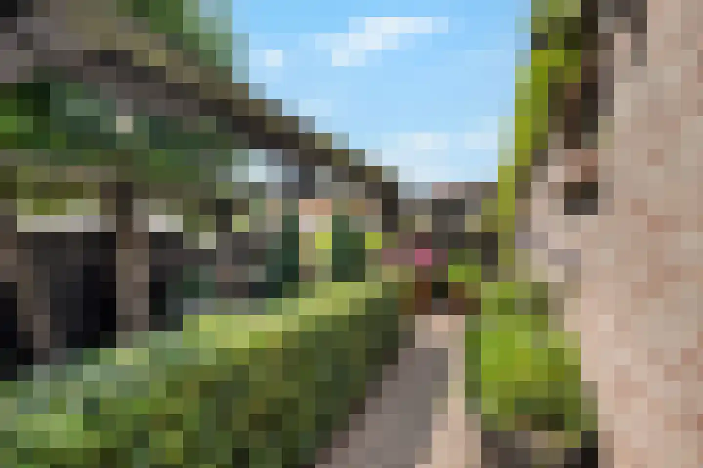 Dorpsdijk 211 c Rhoon thumbnail 31