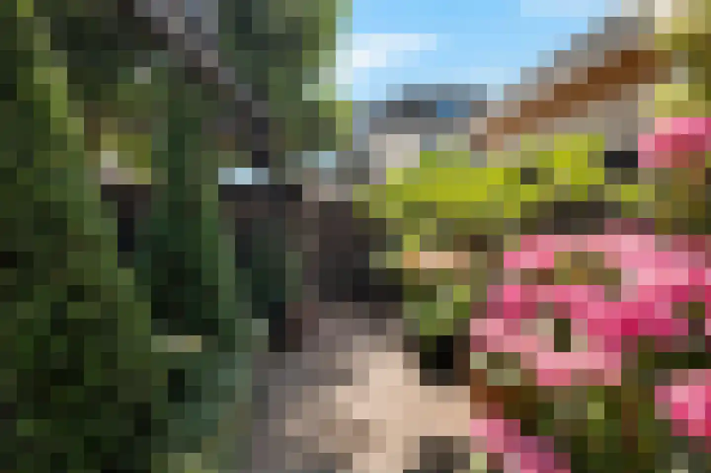 Dorpsdijk 211 c Rhoon thumbnail 32