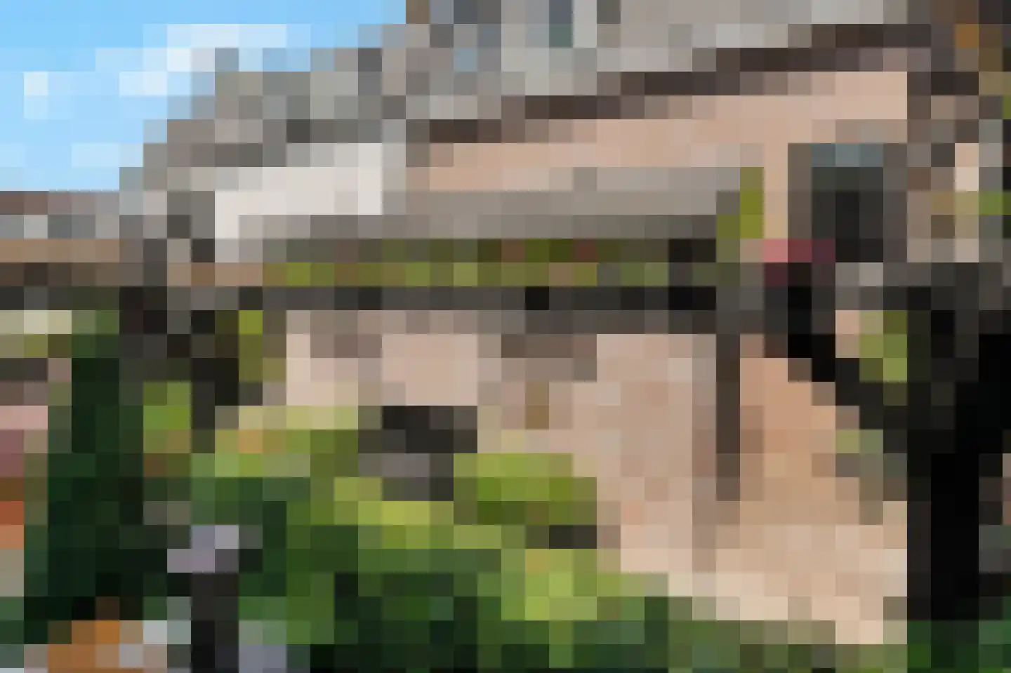 Dorpsdijk 211 c Rhoon thumbnail 34