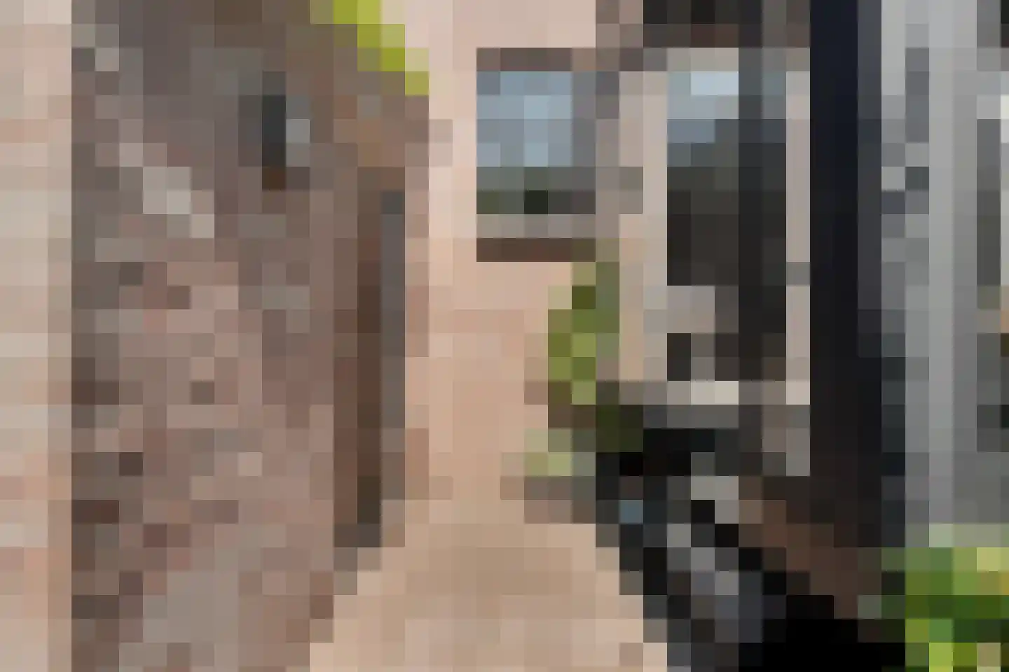Dorpsdijk 211 c Rhoon thumbnail 35