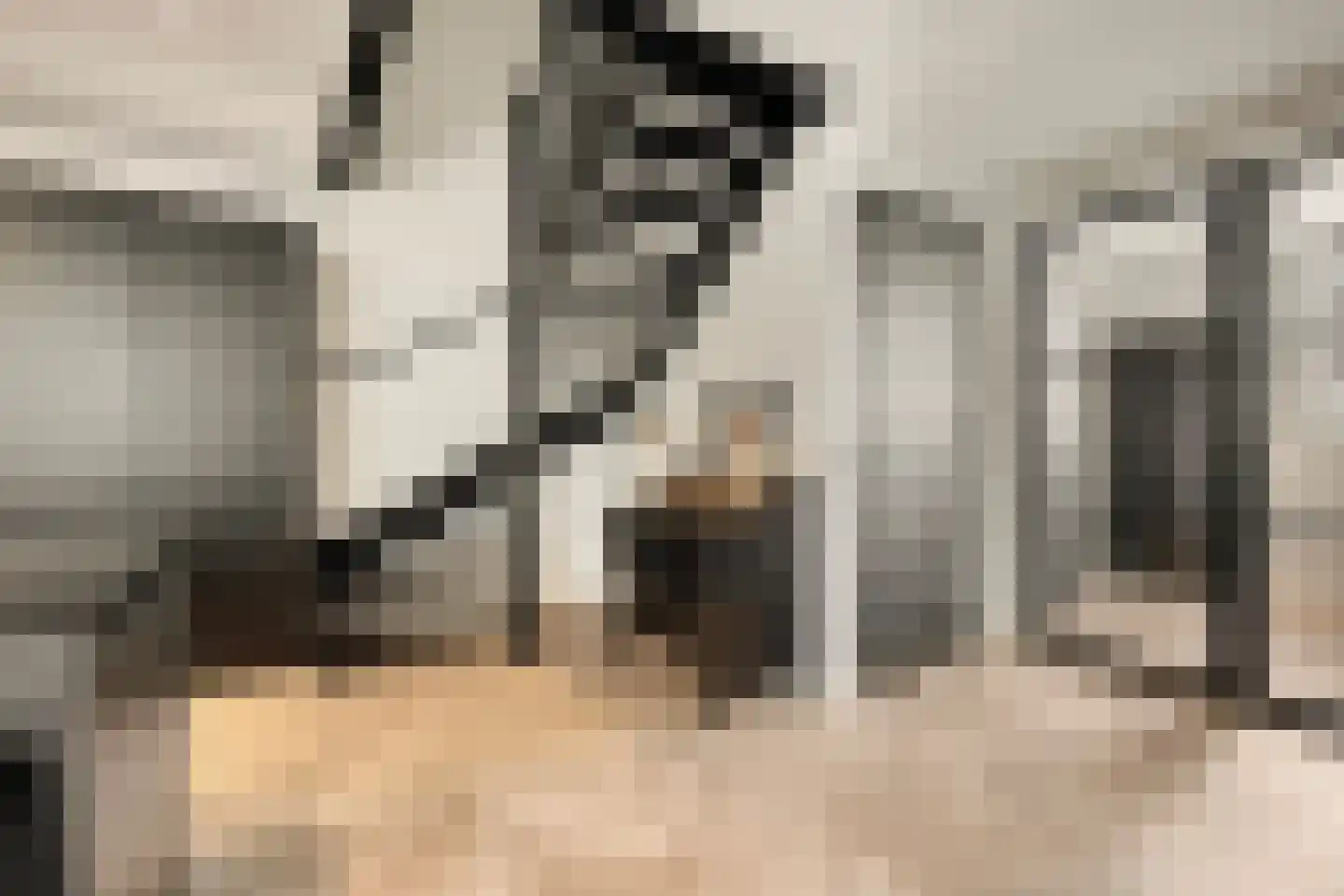 Dorpsdijk 211 c Rhoon thumbnail 38