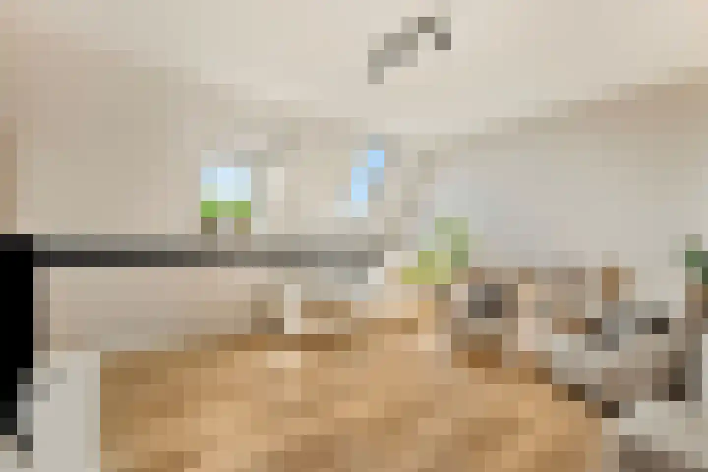 Dorpsdijk 211 c Rhoon thumbnail 43
