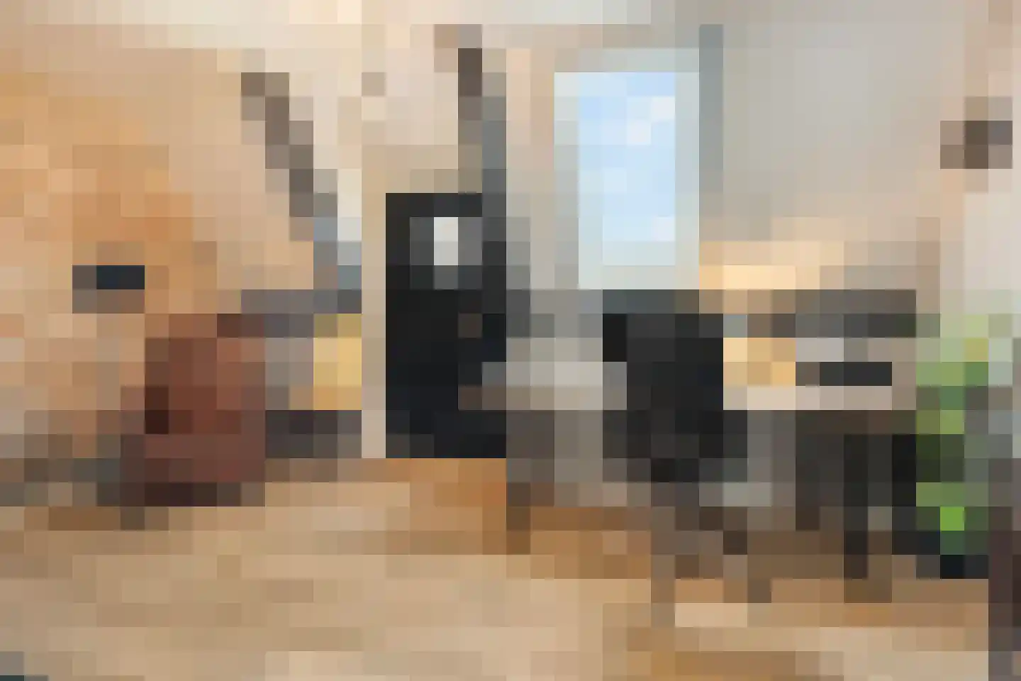 Dorpsdijk 211 c Rhoon thumbnail 49