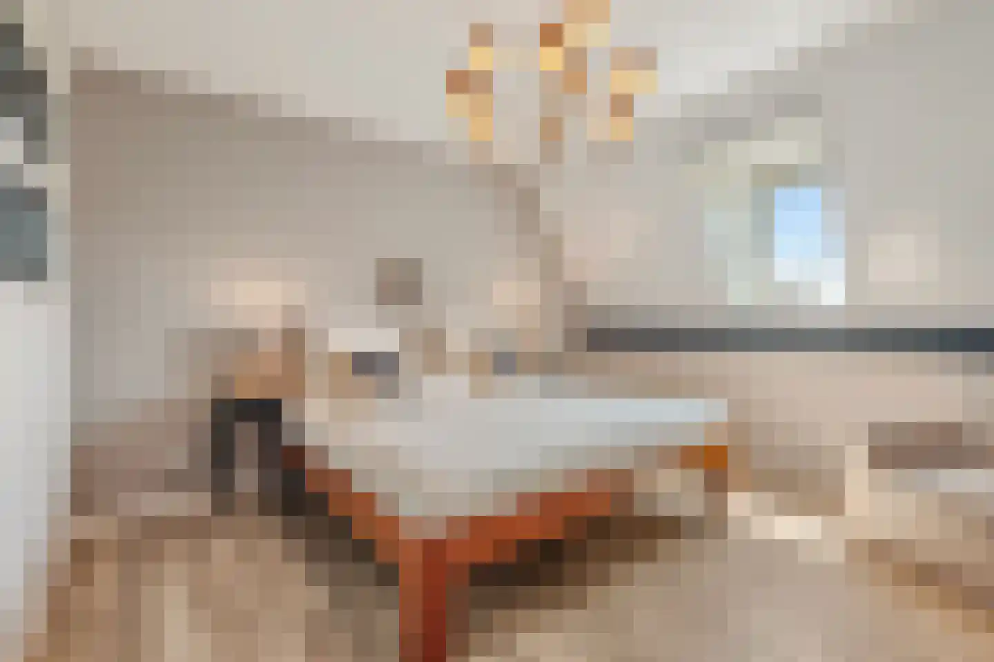 Dorpsdijk 211 c Rhoon thumbnail 60