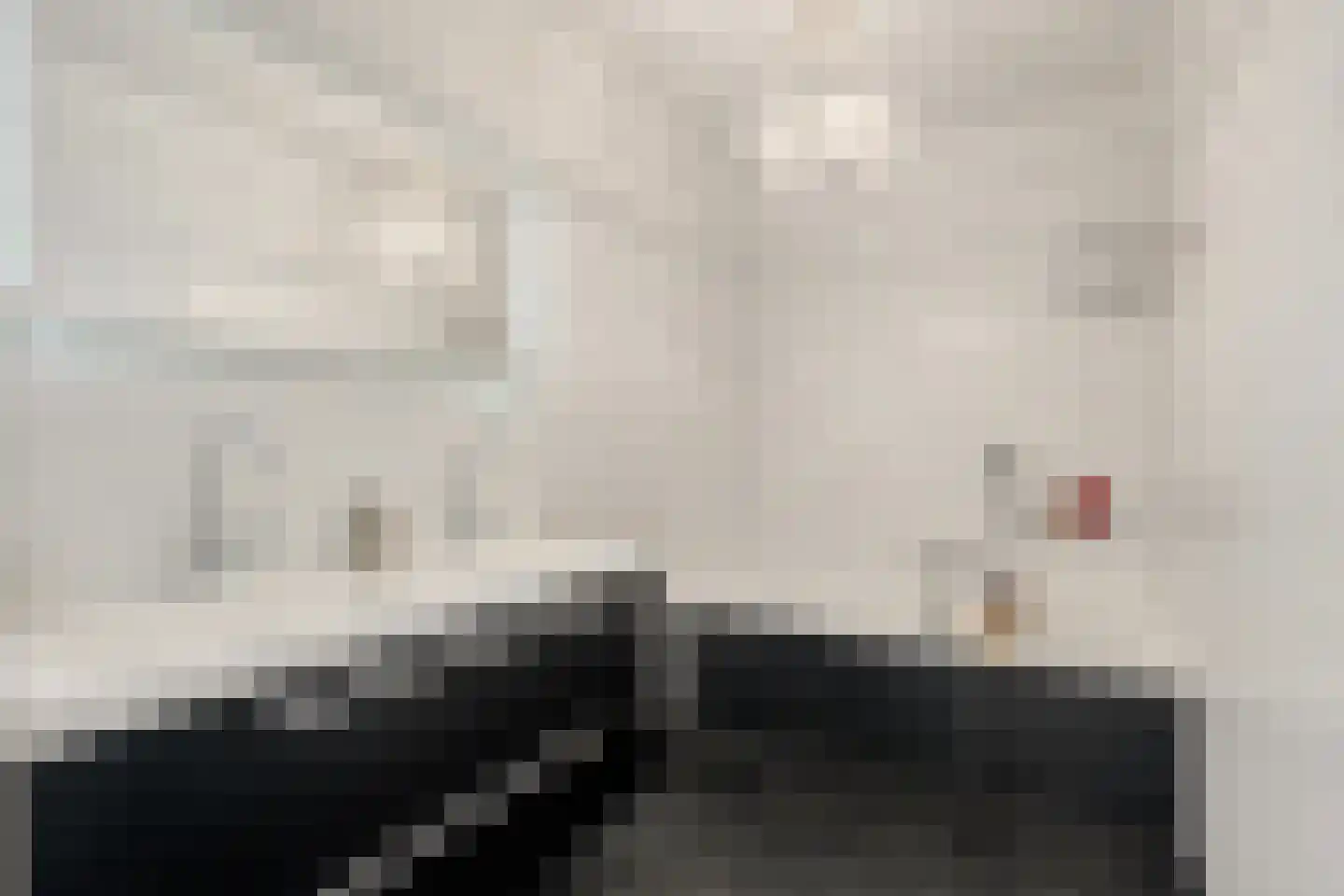 Dorpsdijk 211 c Rhoon thumbnail 64