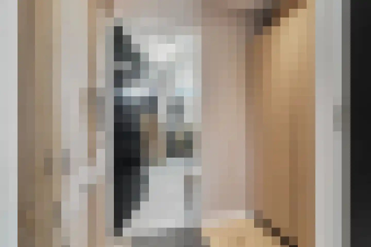 Dorpsdijk 211 c Rhoon thumbnail 69