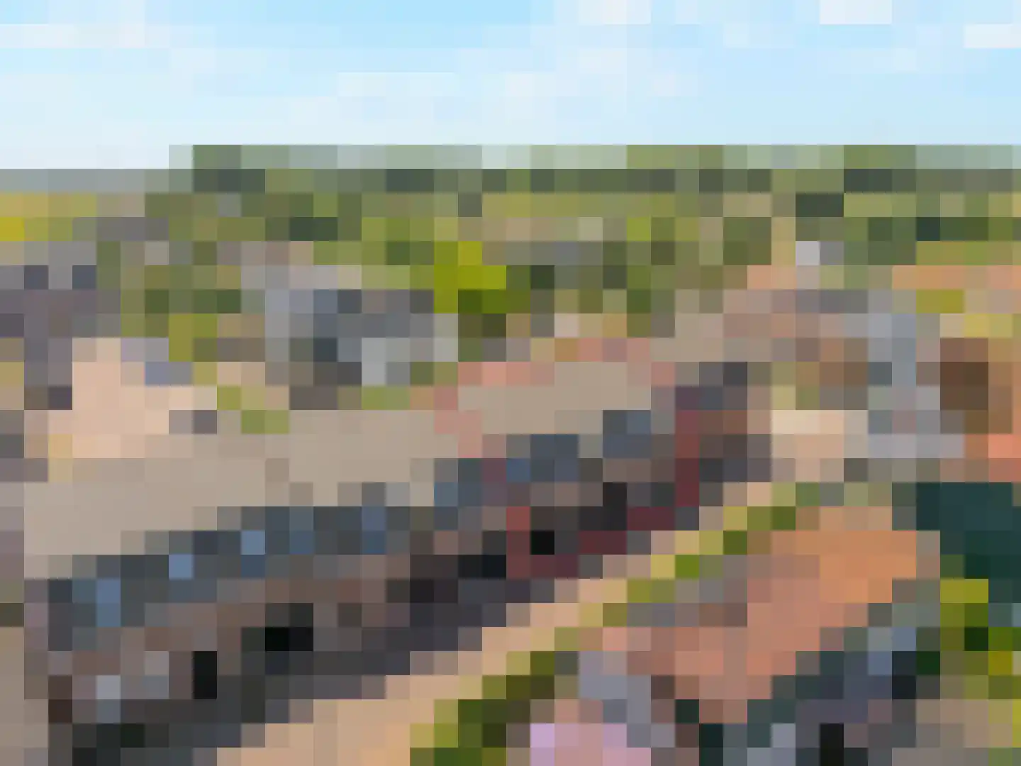 Dorpsdijk 211 c Rhoon thumbnail 74