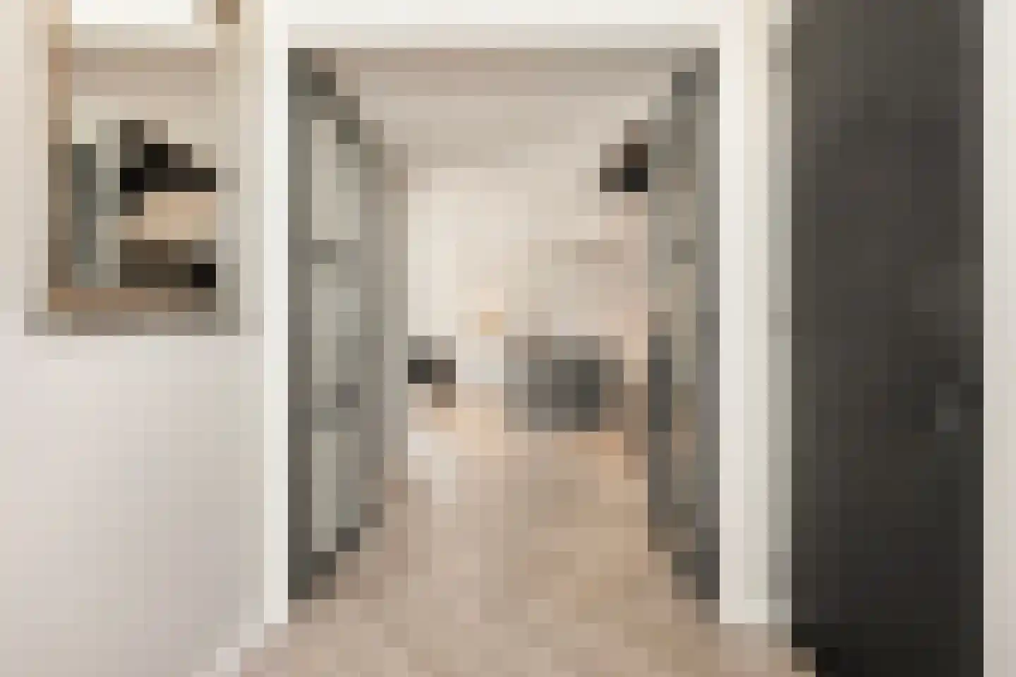 Dorpsdijk 211 c Rhoon thumbnail 9