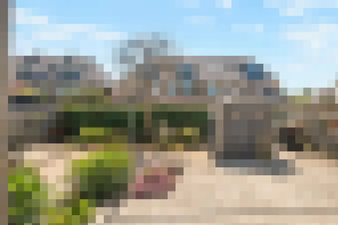 Dorpsdijk 211 Rhoon thumbnail 13
