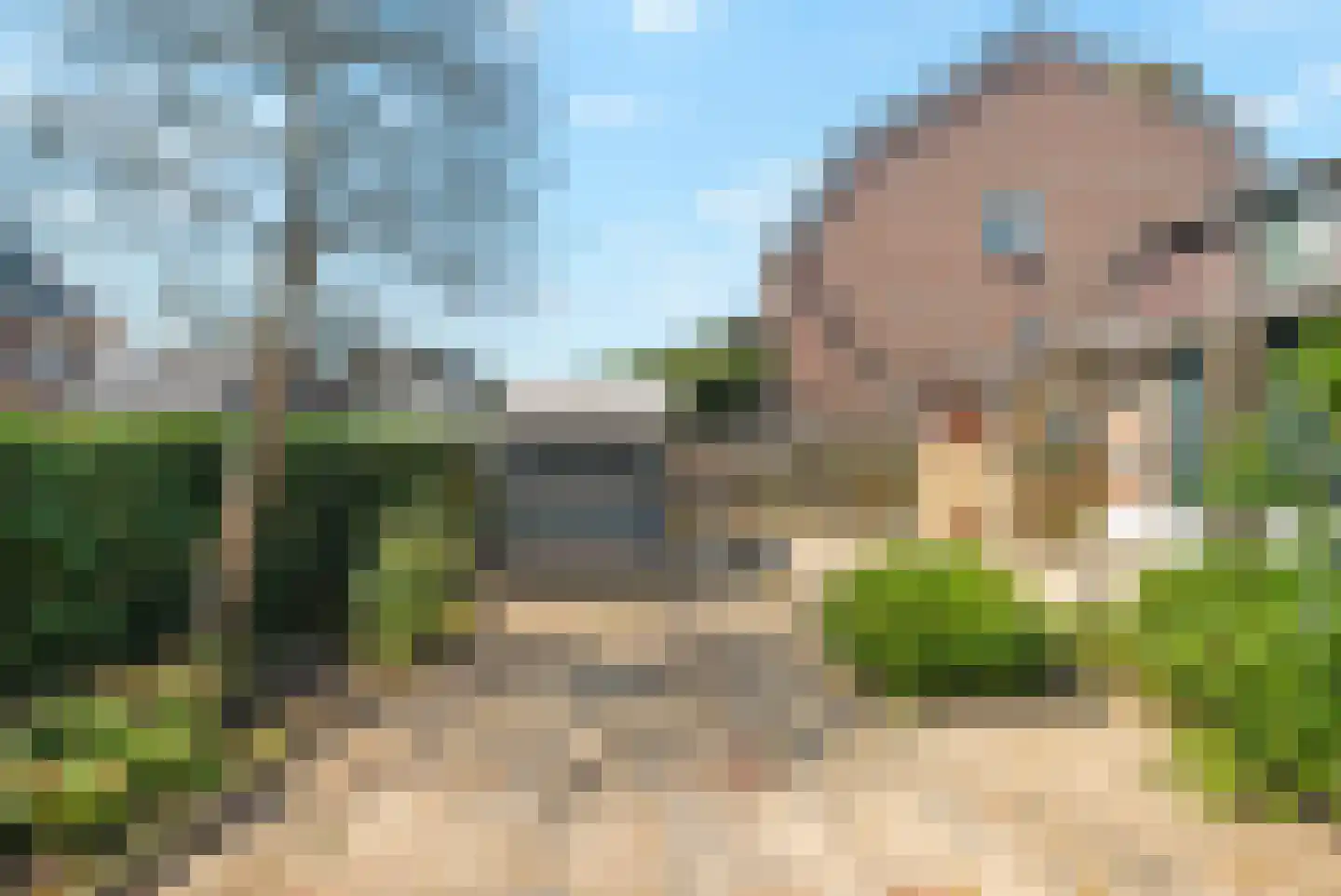 Dorpsdijk 211 Rhoon thumbnail 16