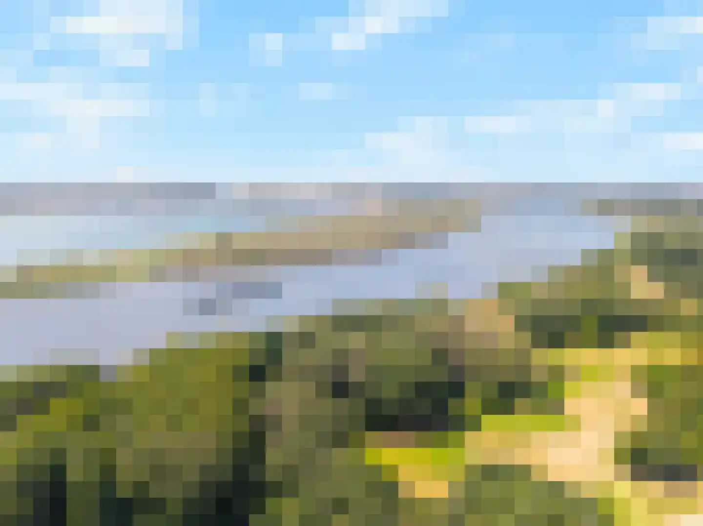 Dorpsdijk 211 Rhoon thumbnail 43