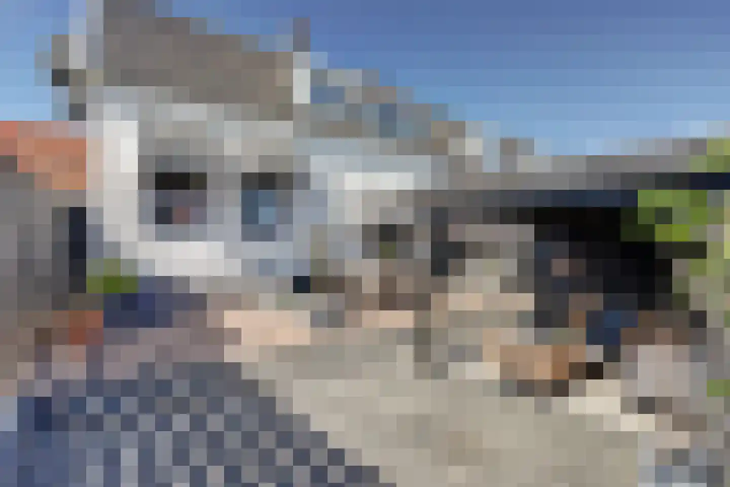 Dorpsdijk 213 Rhoon thumbnail 43