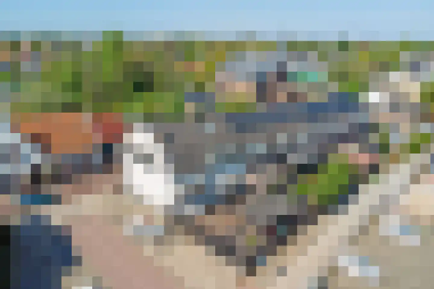 Dorpsdijk 213 Rhoon thumbnail 54