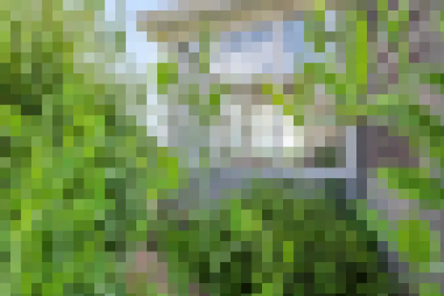 Dorpsdijk 22 Lobith thumbnail 30