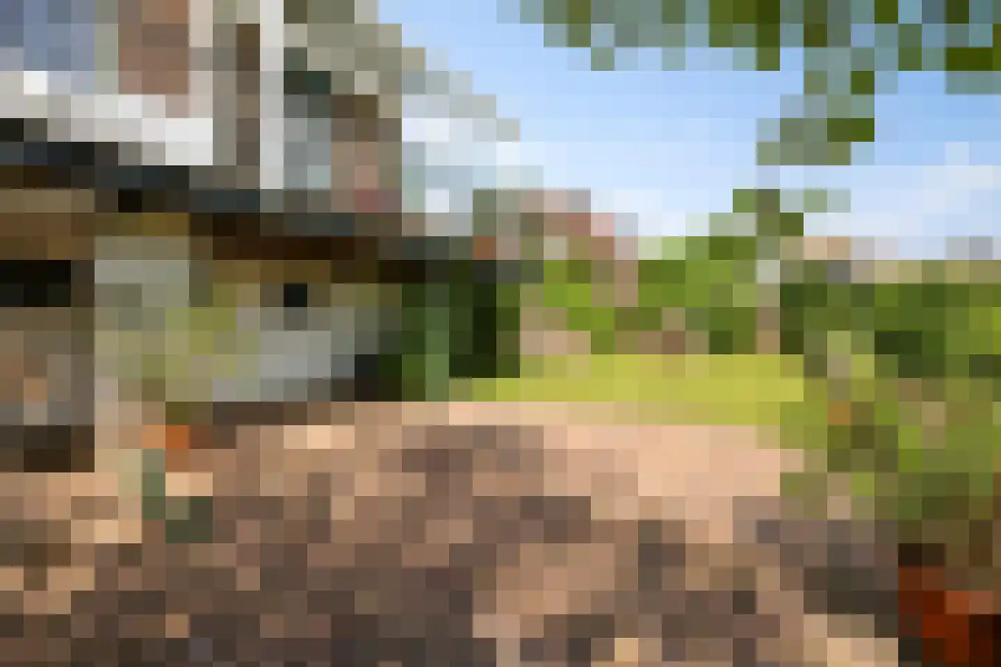 Dorpsdijk 22 Lobith thumbnail 37