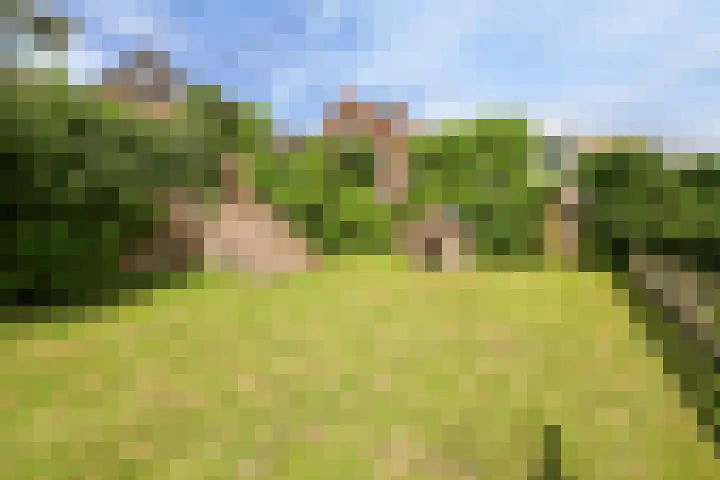 Dorpsdijk 22 Lobith thumbnail 38