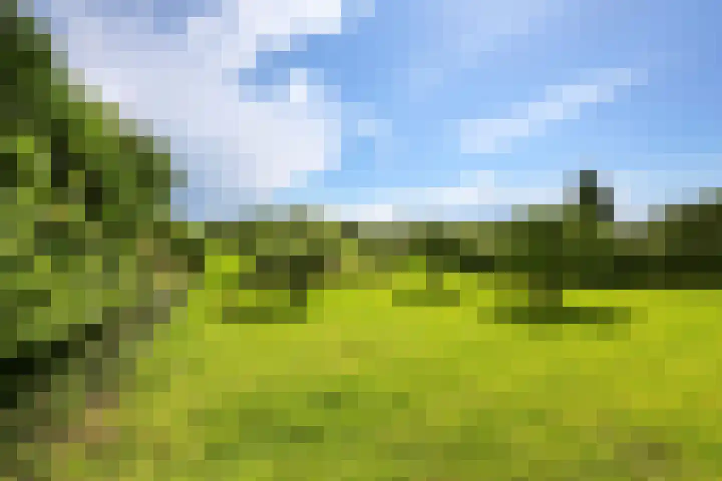 Dorpsdijk 22 Lobith thumbnail 39