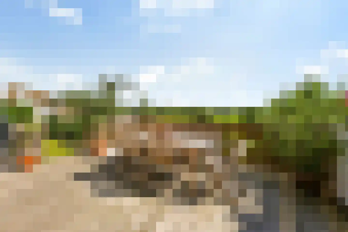 Dorpsdijk 22 Lobith thumbnail 42