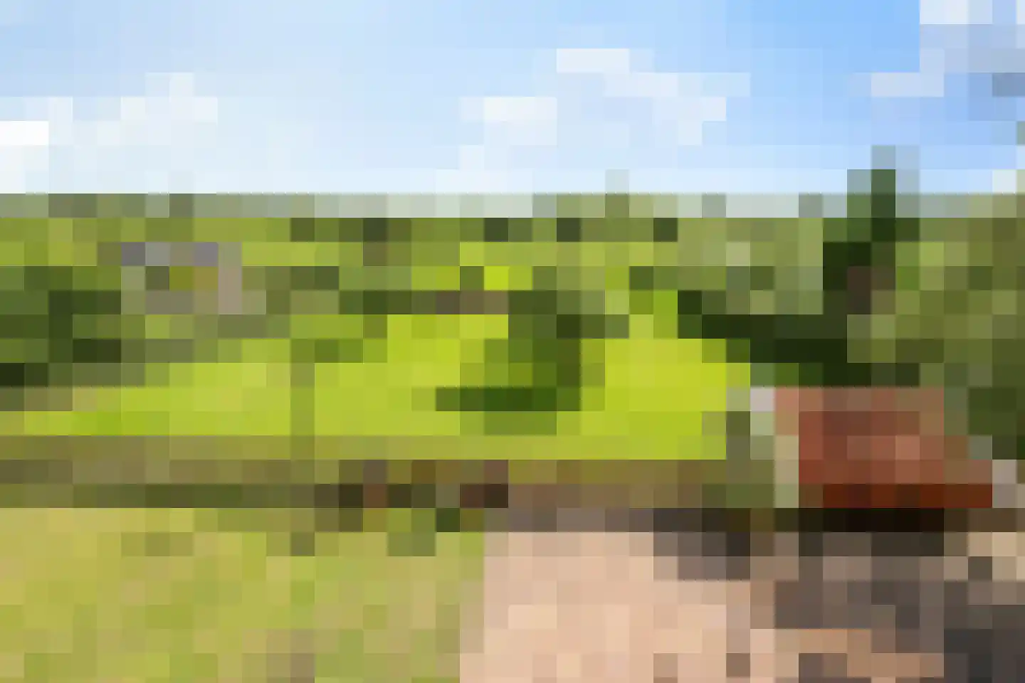 Dorpsdijk 22 Lobith thumbnail 47