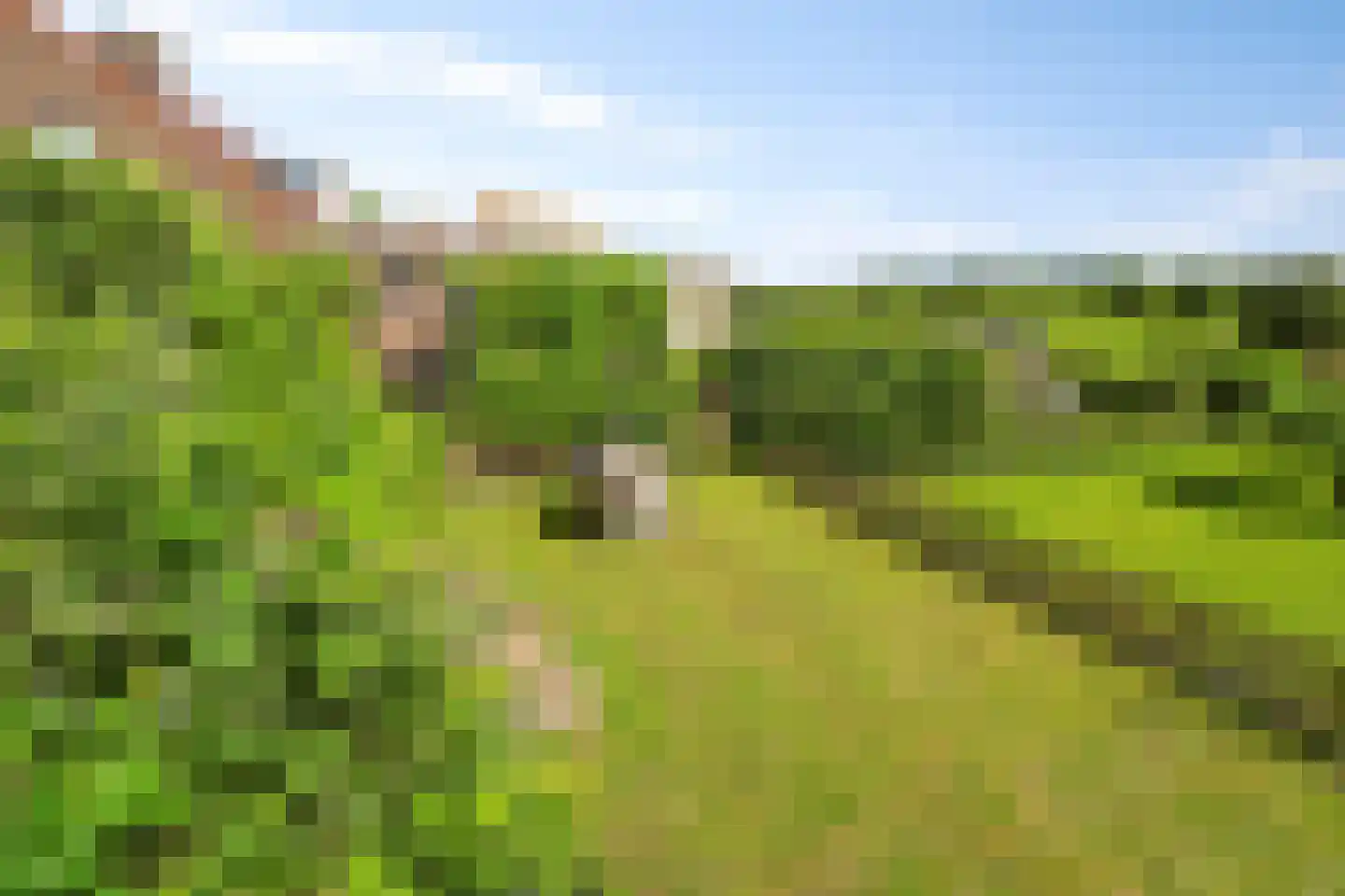 Dorpsdijk 22 Lobith thumbnail 48