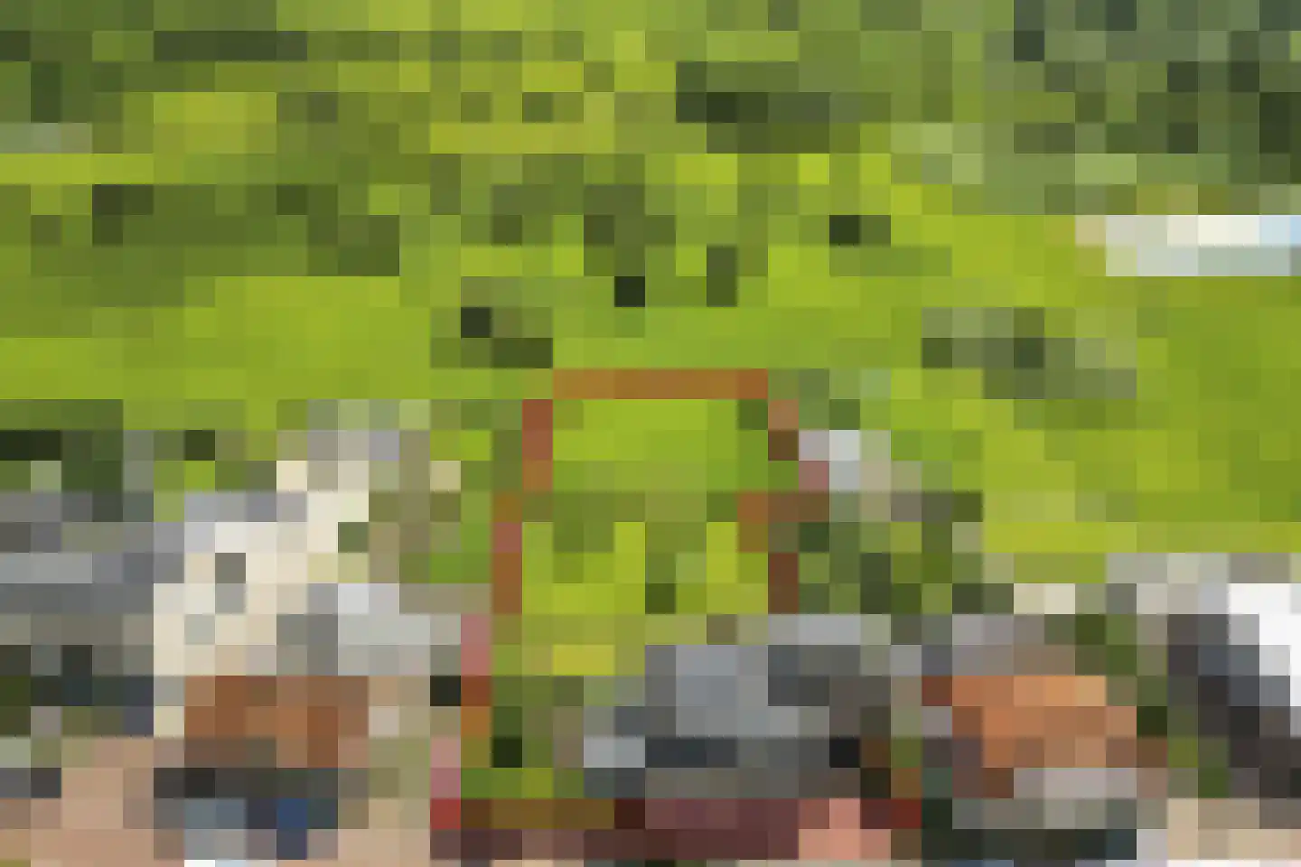 Dorpsdijk 22 Lobith thumbnail 78