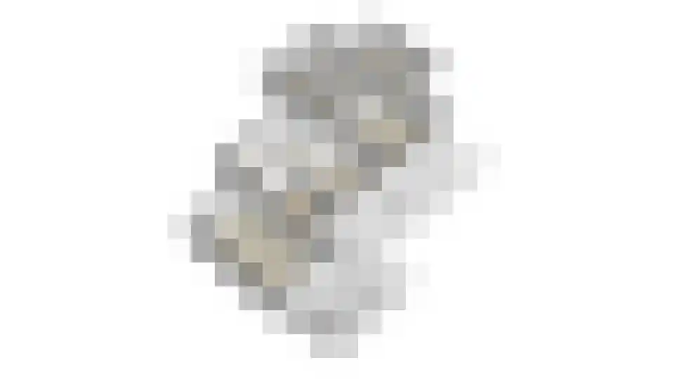 Dorpsdijk 22 Lobith thumbnail 89