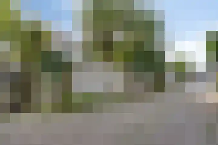 Dorpsdijk 34 Wissenkerke thumbnail 32