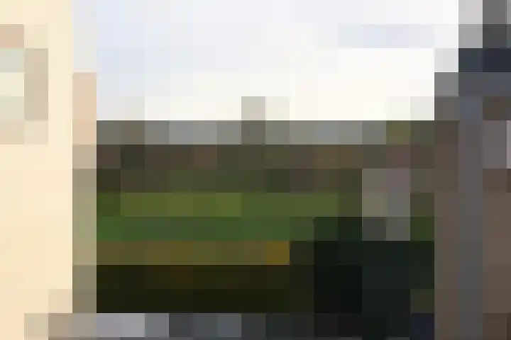 Dorpsdijk 39 02 Lobith thumbnail 12