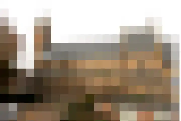 Dorpsdijk 39 02 Lobith thumbnail 19