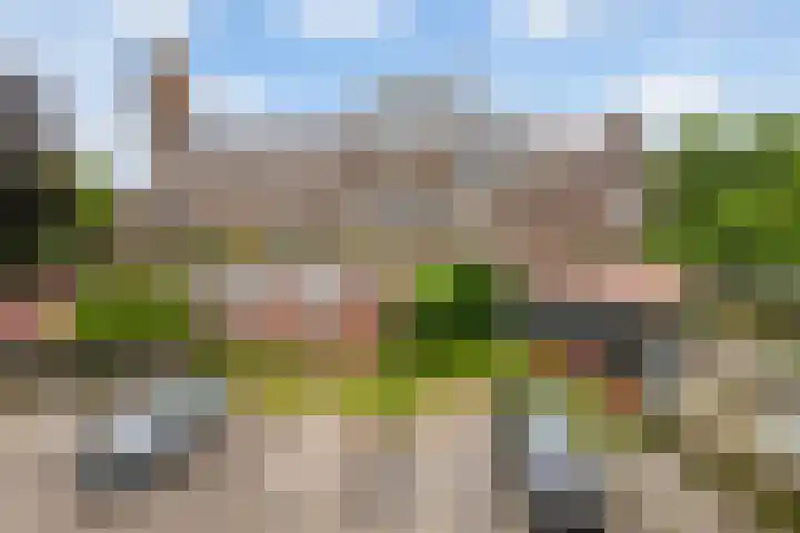 Dorpsdijk 41 02 Lobith thumbnail 22