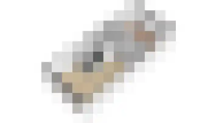 Dorpsdijk 41 02 Lobith thumbnail 34