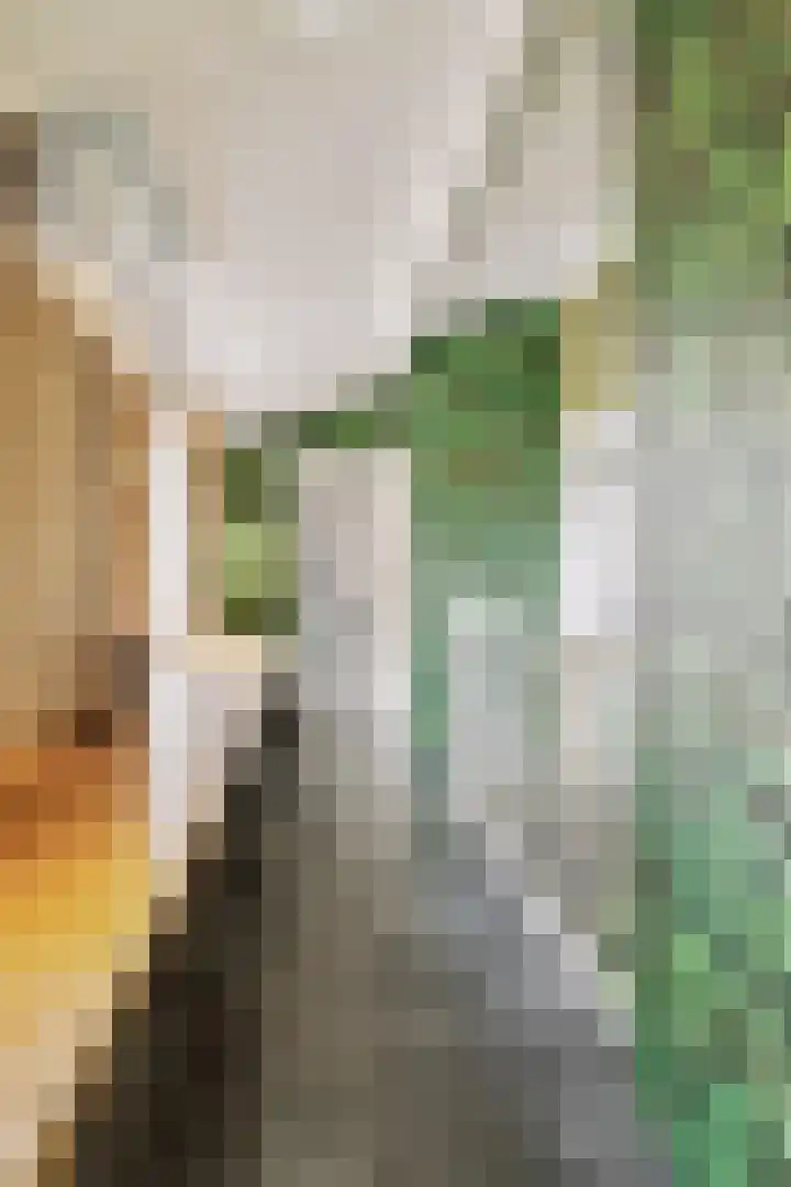Dorpsdijk 5 Vierpolders thumbnail 30