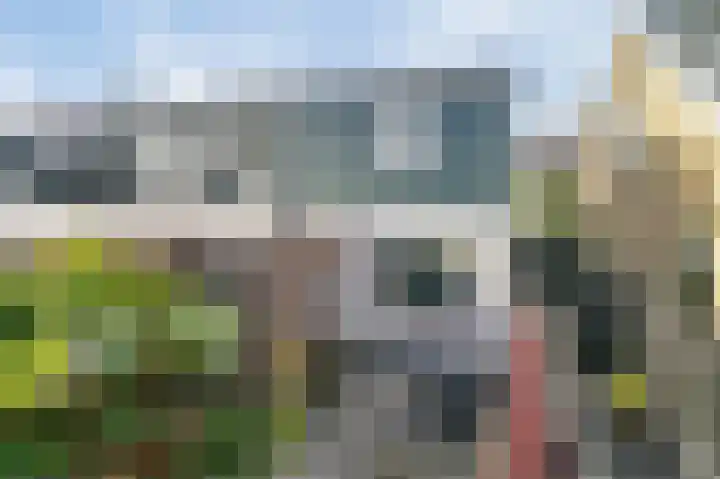 Dorpsdijk 5 Vierpolders thumbnail 43