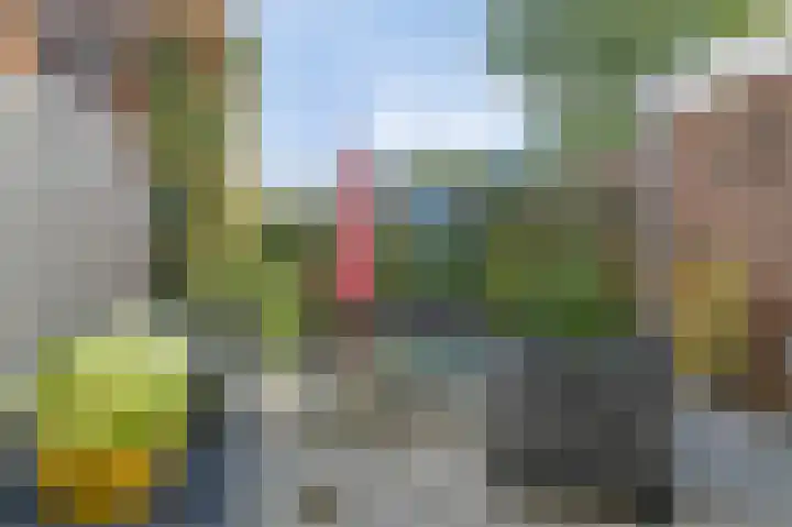 Dorpsdijk 5 Vierpolders thumbnail 44