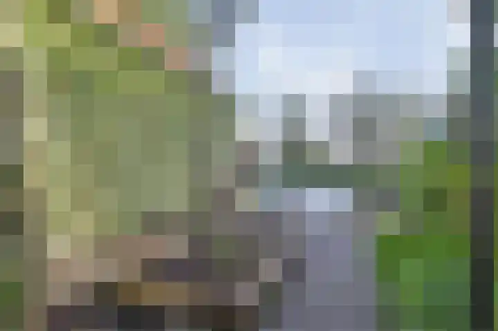 Dorpsdijk 5 Vierpolders thumbnail 45