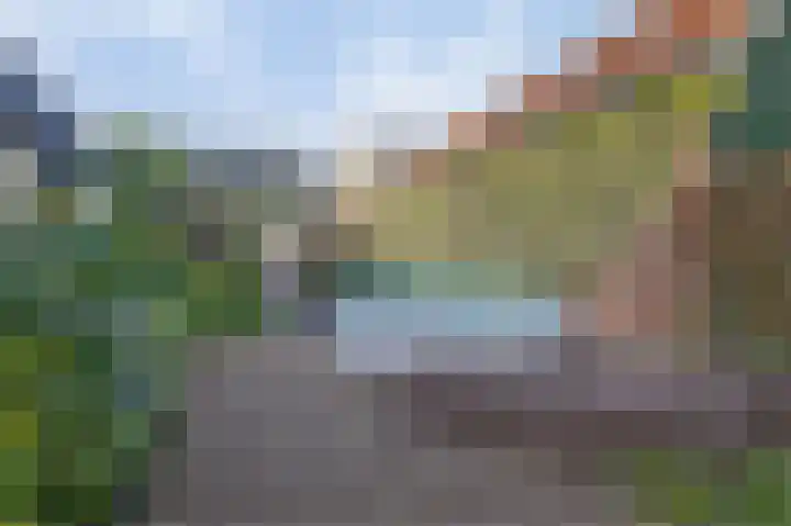 Dorpsdijk 5 Vierpolders thumbnail 46
