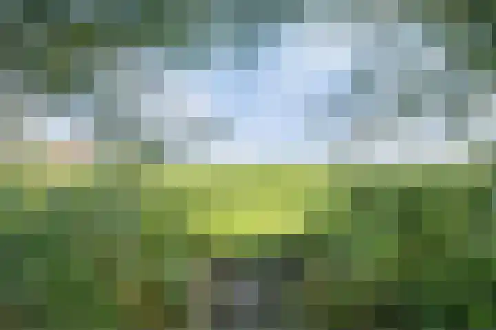 Dorpsdijk 5 Vierpolders thumbnail 51
