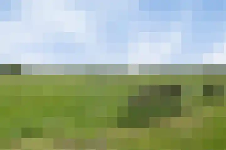 Dorpsdijk 5 Vierpolders thumbnail 52