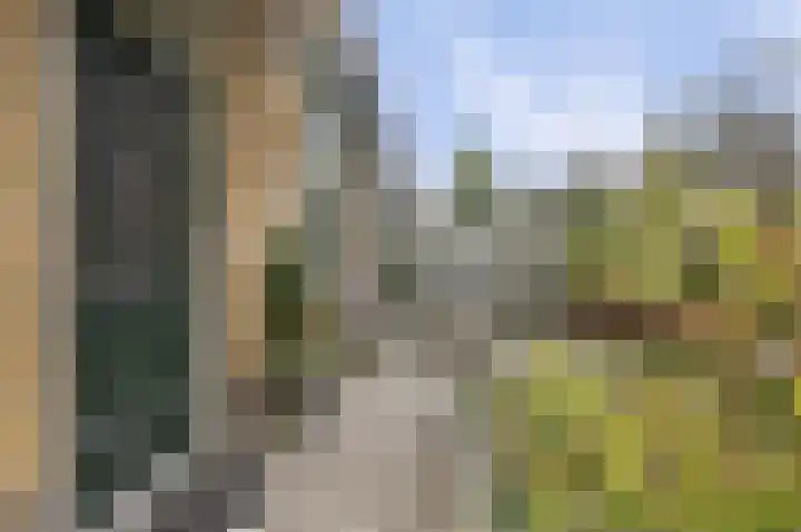 Dorpsdijk 5 Vierpolders thumbnail 6