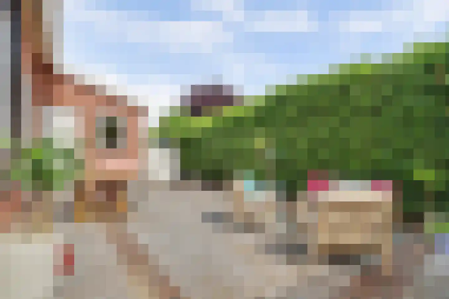 Dorpsdijk 57 Vrouwenpolder thumbnail 43