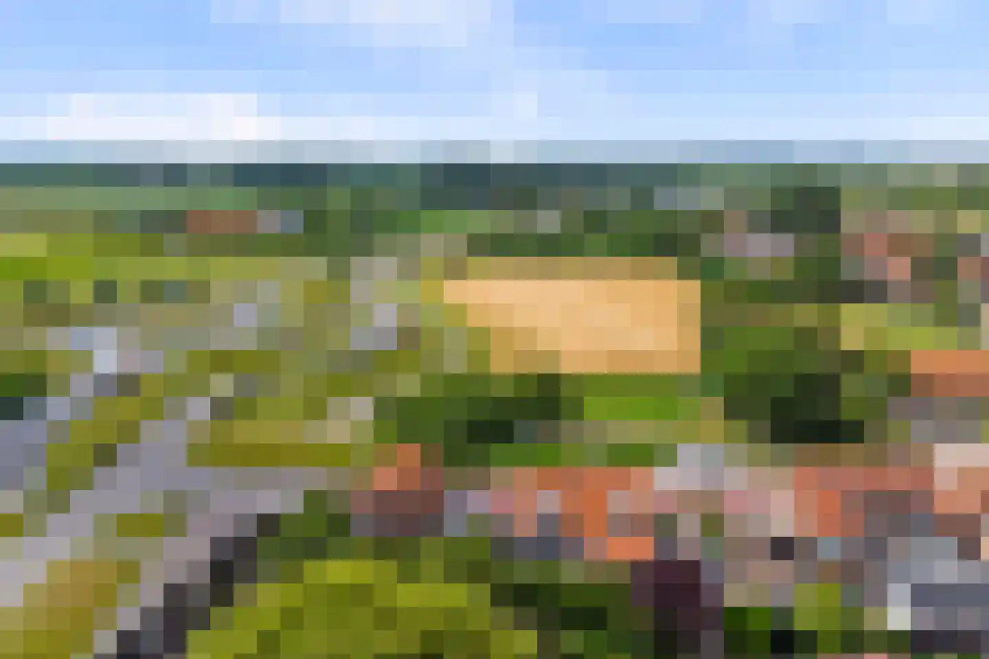 Dorpsdijk 57 Vrouwenpolder thumbnail 46