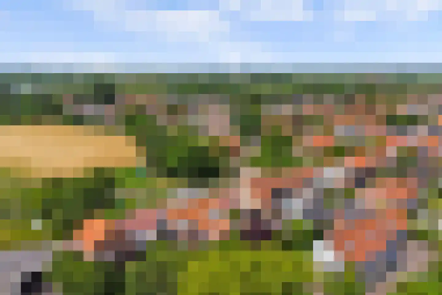 Dorpsdijk 57 Vrouwenpolder thumbnail 47