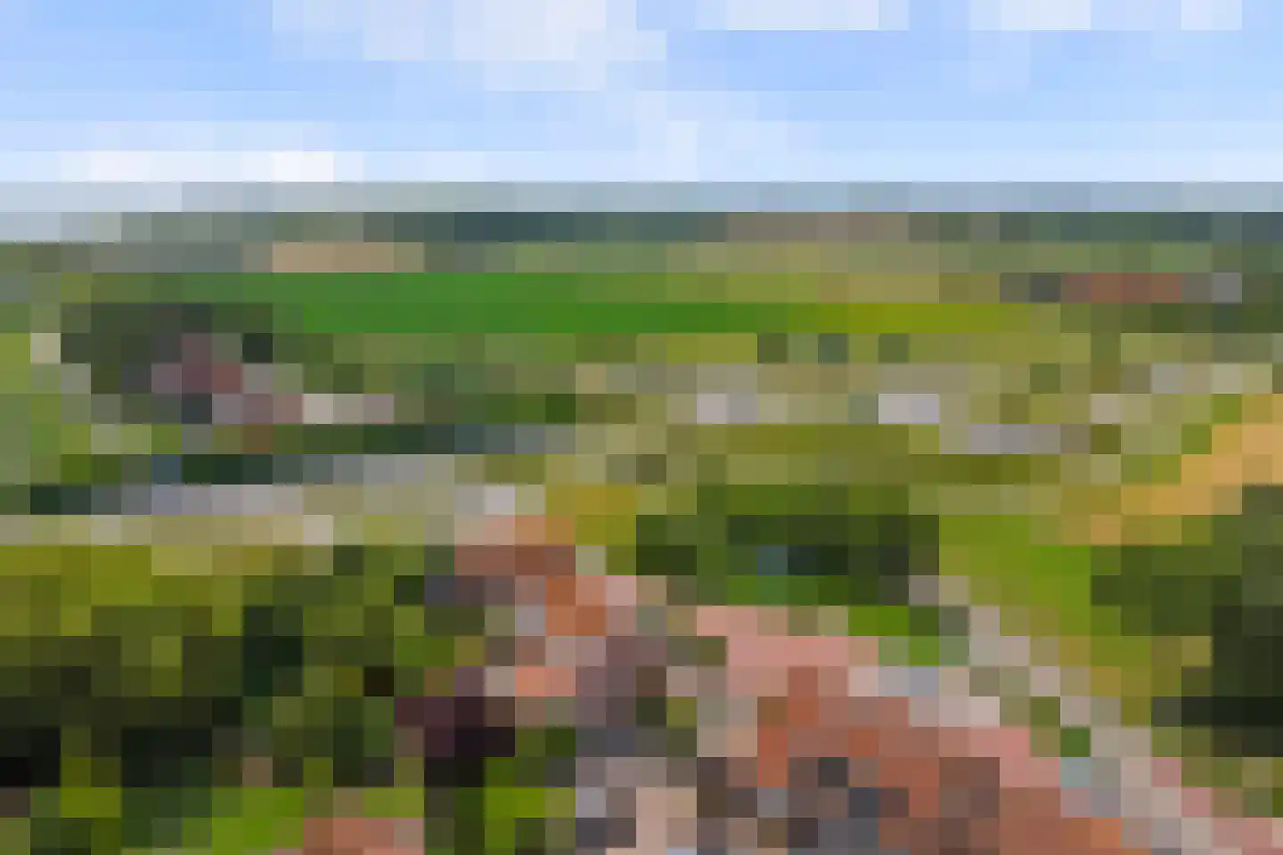 Dorpsdijk 57 Vrouwenpolder thumbnail 48