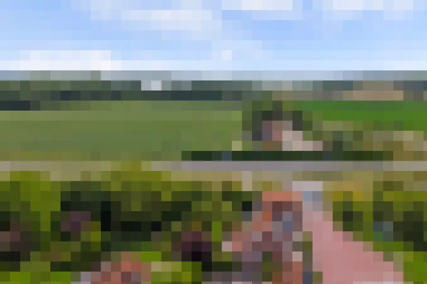 Dorpsdijk 57 Vrouwenpolder thumbnail 49