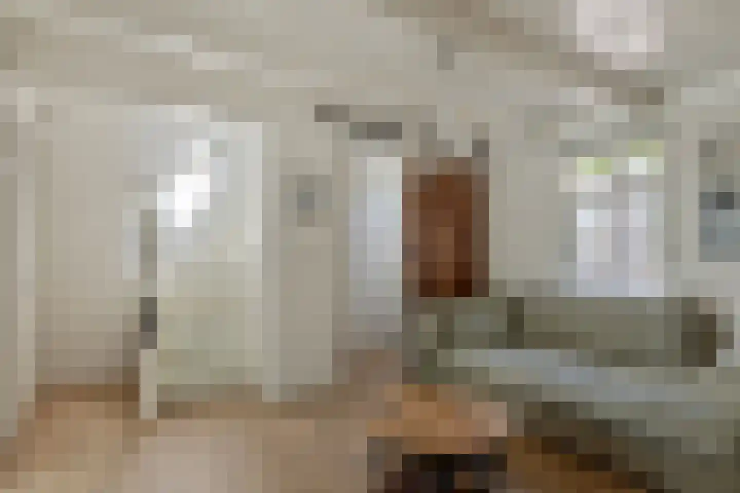 Dorpsdijk 60 Wissenkerke thumbnail 4
