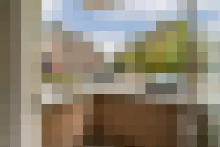 Dorpsdijk 69 Rhoon thumbnail 11