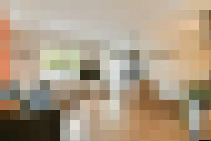 Dorpsdijk 69 Rhoon thumbnail 4