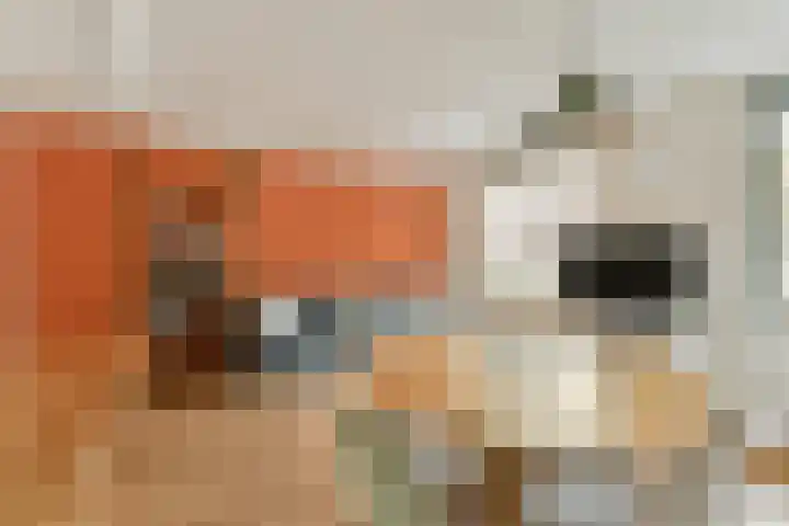 Dorpsdijk 69 Rhoon thumbnail 5