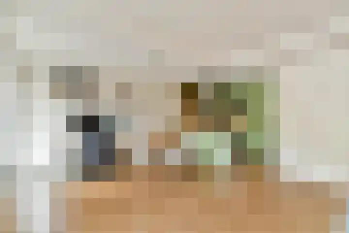 Dorpsdijk 69 Rhoon thumbnail 7