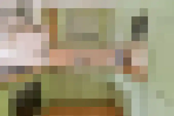 Dorpsdijk 69 Rhoon thumbnail 8